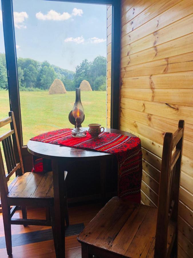 La Container Hotel Curtea de Argeş Екстериор снимка